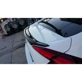 Anatomic spoiler (för lackering) foto 1