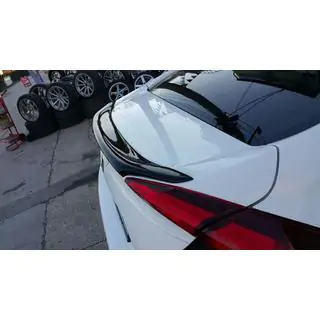 Anatomic spoiler (för lackering)