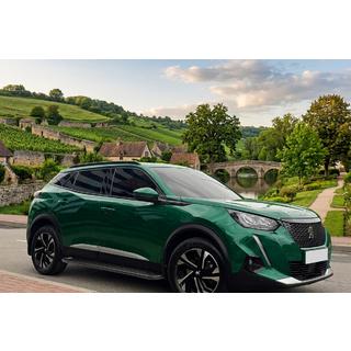 Sidosteg Allmond Black (2 st, aluminium) Peugeot 3008 2016–2023 foto 1