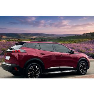 Sidosteg Line (2 st, aluminium) Peugeot 3008 2016–2023 foto 1