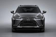 Kompakt crossover Lexus UX 200 foto 8