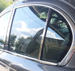 Jaguar X-Type 2001–2009 Stolplister (rostfritt stål) foto 5