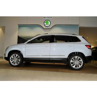 Dörrlist (rostfritt stål) Skoda Karoq 2018– foto 3
