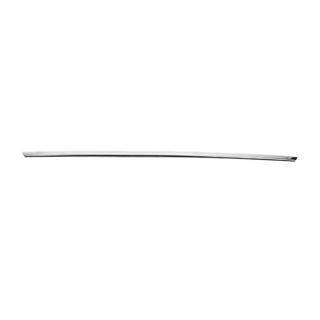 Rostfri list ovanför registreringsskylten BMW 4-serie F32/F33/F36 2012–2020 foto 3