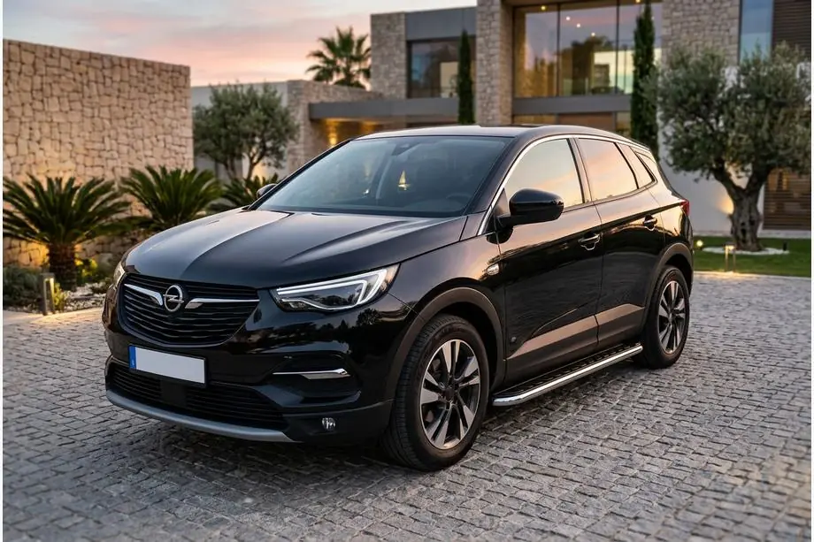 Opel Grandland X 2017– Sidosteg Maydos V1 (2 st, aluminium / rostfritt) Image