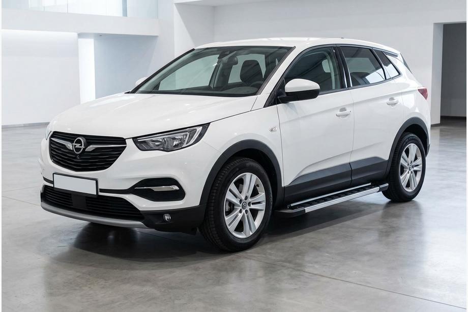 Opel Grandland X 2017– Sidosteg RedLine V1 (2 st, aluminium) Image