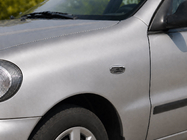 Daewoo Lanos 1998–2017 Galler för sidoblinkers Oval (2 st, ABS) foto 1
