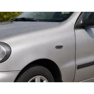 Galler för sidoblinkers Oval (2 st, ABS) Daewoo Lanos 1998–2017 foto 1