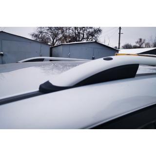 Takräcken Skyport (Grå) Toyota Rav 4 2006–2013 foto 4