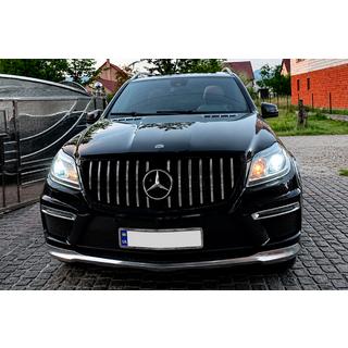 Främre grill GT Panamericana (för GL High) foto 3