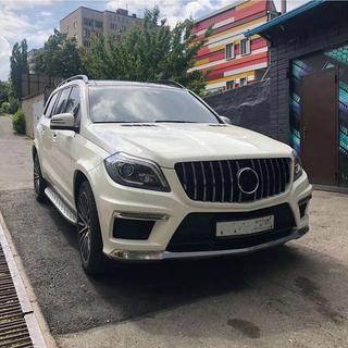 Främre grill GT Panamericana (för GL High) foto 4