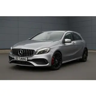 Främre grill GT Panamericana (2012-2015) foto 1
