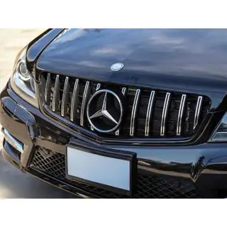Främre grill GT Panamericana foto 3