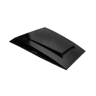 Huvdeflektor BRBS (ABS)