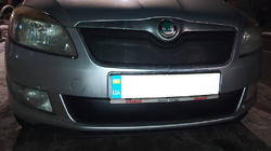 Skoda Fabia 2007–2014 Vintertäckning för grillen (2011-2014, övre) Blank foto 2