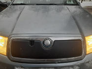 Skoda Fabia 2000–2007 Vintertäckning för frontgrillen Matt foto 2