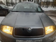 Skoda Fabia 2000–2007 Vintertäckning för frontgrillen Matt foto 1