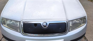 Skoda Fabia 2000–2007 Vintertäckning för frontgrillen Matt foto 4