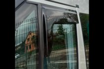 Ford Transit 2000–2014 Vindavvisare för sidorutor (2 st, HIC) foto 10