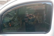 Renault Kangoo 2008–2020 Insticksmonterade vindavvisare (2 st, HIC) foto 8