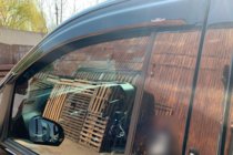 Mercedes Vito/V-klass W447 2014– Vindavvisare för sidorutor (2 st, HIC) foto 11