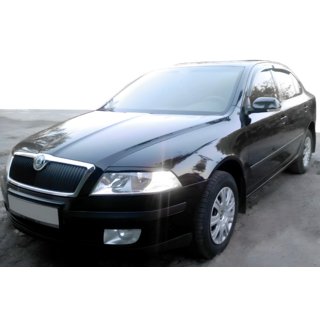 Vindavvisare LiftBack (4 st, HIC) Skoda Octavia II A5 2010–2013 foto 1