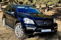 Mercedes GL class X164 2006–2012 Främre grill Diamond (2006-2009) foto 4