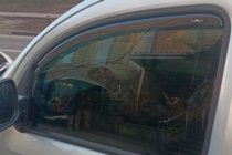 Mercedes Citan 2013–2021 Insticksmonterade vindavvisare (2 st, HIC) foto 9