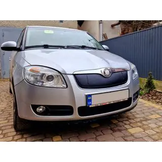 Vinterfront för kylargaller (2007-2010, övre) Skoda Roomster 2006–2015 foto 2