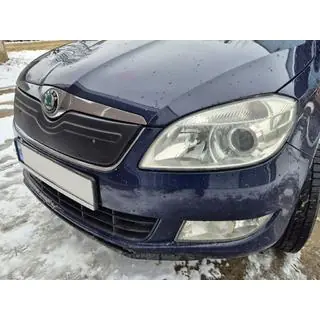 Vintertäckning för grillen (2010+, övre) Skoda Roomster 2006–2015 foto 2