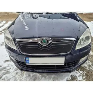 Vintertäckning för grillen (2010+, övre) Skoda Roomster 2006–2015 foto 3