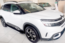 Citroen C5 Aircross 2017–2025 Sidosteg Duru (2 st, aluminium) foto 1