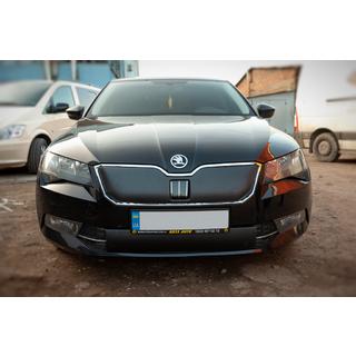 Vintergrilltäcke (2015-2019, nedre) Skoda Superb 2015–2024 foto 2