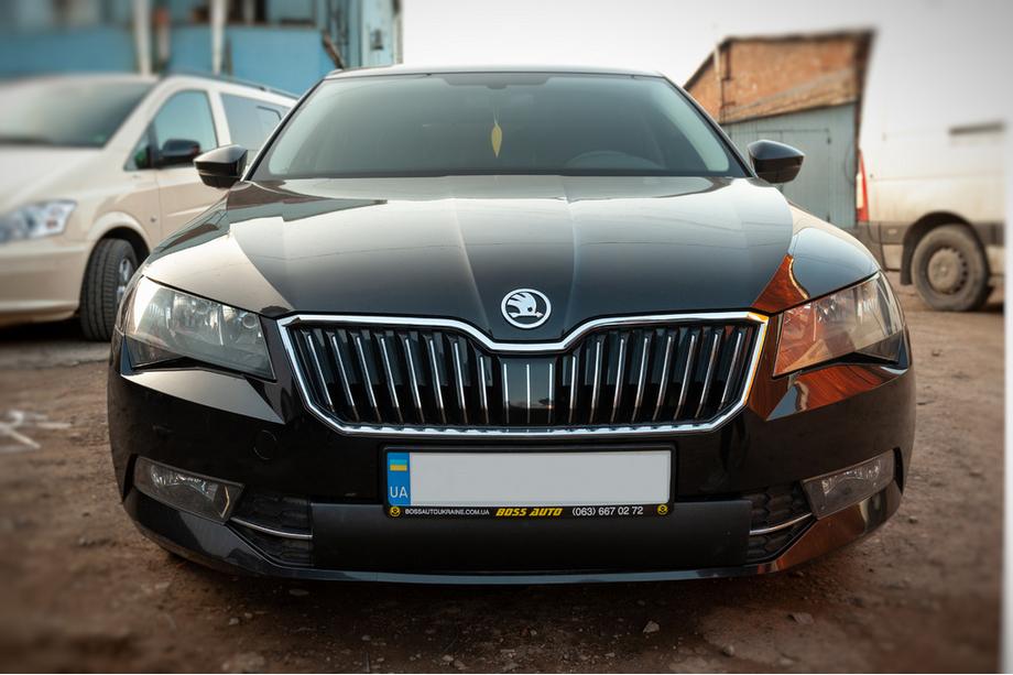 Skoda Superb 2015–2024 Vintergrilltäcke (2015-2019, nedre) Image