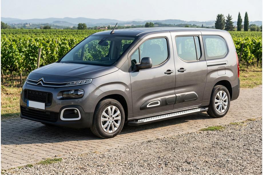 Citroen Berlingo/Multispace 2018– Sidosteg Allmond Grey (2 st, aluminium) Image