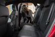 Nya generationen av den kompakta crossovern Ford Kuga foto 10