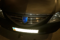Dacia Logan MCV 2004–2014 Grillister fram 2004-2008 (rostfritt stål) Carmos - turkiskt stål foto 3