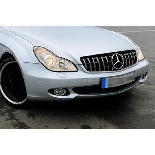 Främre grill (2008-2010, GT Panamericana) Mercedes CLS C219 2004–2010 foto 1