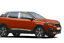 Peugeot 3008 2016–2023 Dörrstolpskåpor i rostfritt stål foto 4