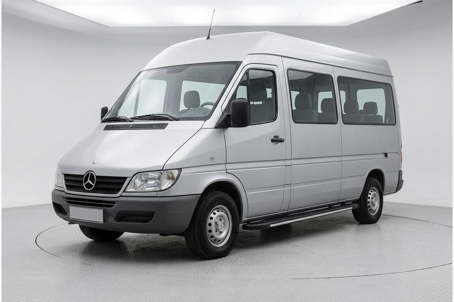 Mercedes Sprinter W901/902/903/904/905 1995–2006 Sidosteg Bosphorus Grey (2 st, aluminium) Image