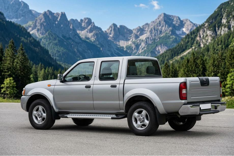 Nissan NP300 1999–2015 Sidosteg New Vision Grey (2 st, aluminium) Image