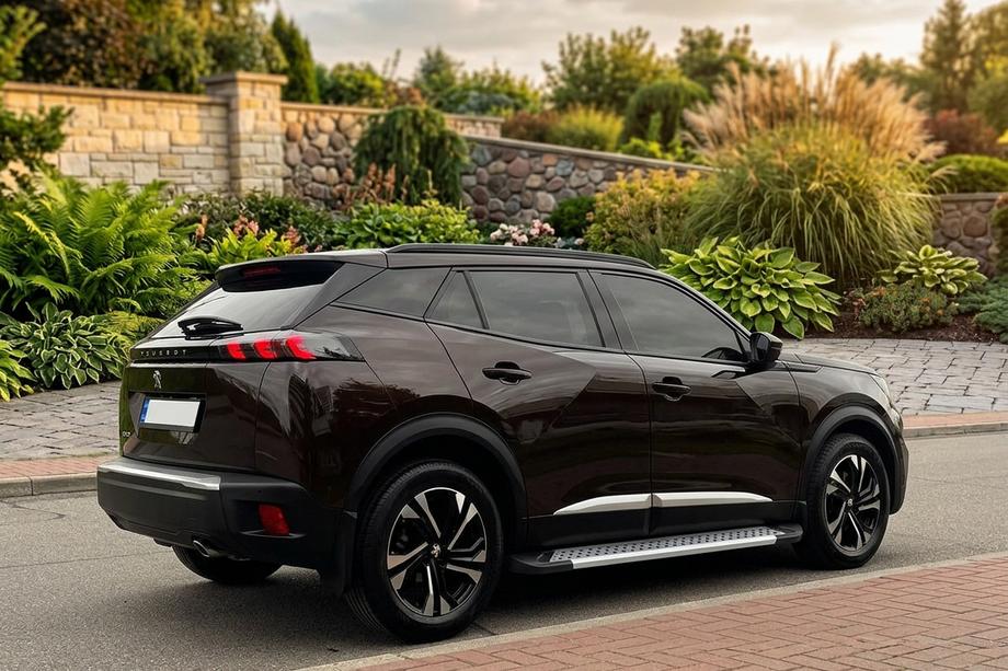 Peugeot 3008 2016–2023 Sidosteg New Vision Grey (2 st, aluminium) Image