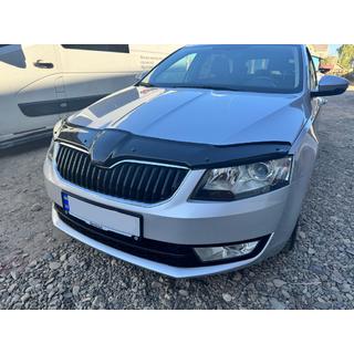 Stenskottskydd för motorhuv 2013-2017 (EuroCap) foto 1
