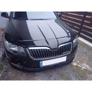 Insektskydd för motorhuv 2013-2015 (EuroCap)