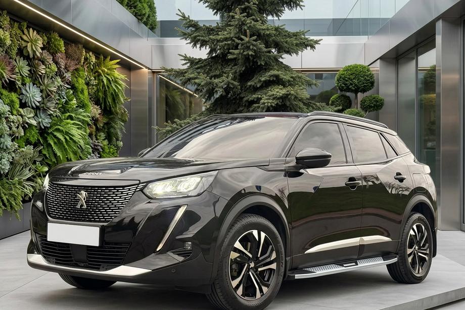 Peugeot 3008 2016–2023 Mevsim Grey sidosteg (2 st, aluminium) Image