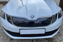 Skoda Octavia III A7 2013–2019 Vintergrill (2017-2020) foto 1