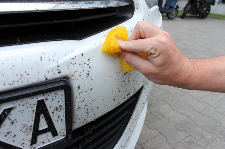 Så tar du bort fasttorkade insekter från bilen