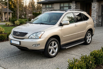 Lexus RX 2003–2009 Sidosteg Maya V1 (2 st, aluminium) foto 1