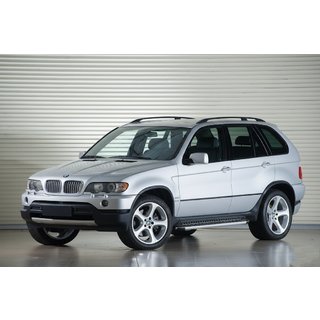 Sidosteg Tayga Grey (2 st, aluminium) BMW X5 E53 1999–2006 foto 1