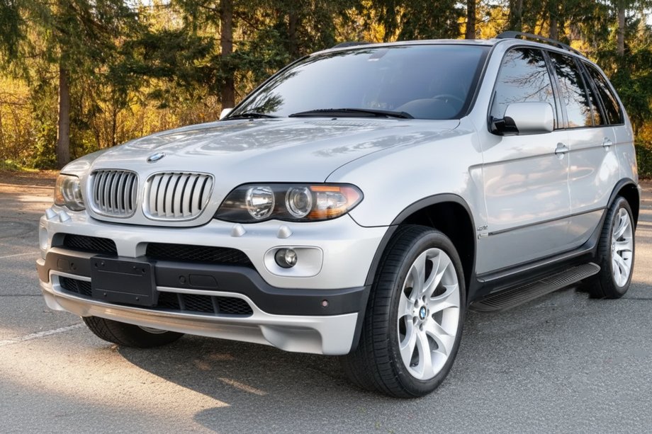 BMW X5 E53 1999–2006 Sidosteg Tayga Black (2 st, aluminium) Image